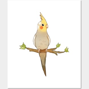 Cute Cockatiel Posters and Art